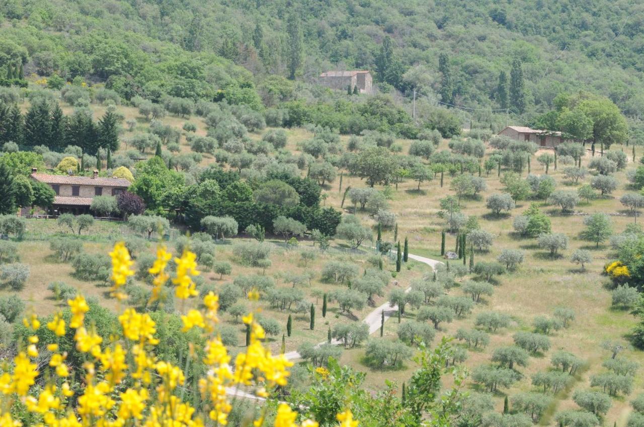 Agriturismo Panorama Sul Lago Пасиняно сул Тразимено Екстериор снимка