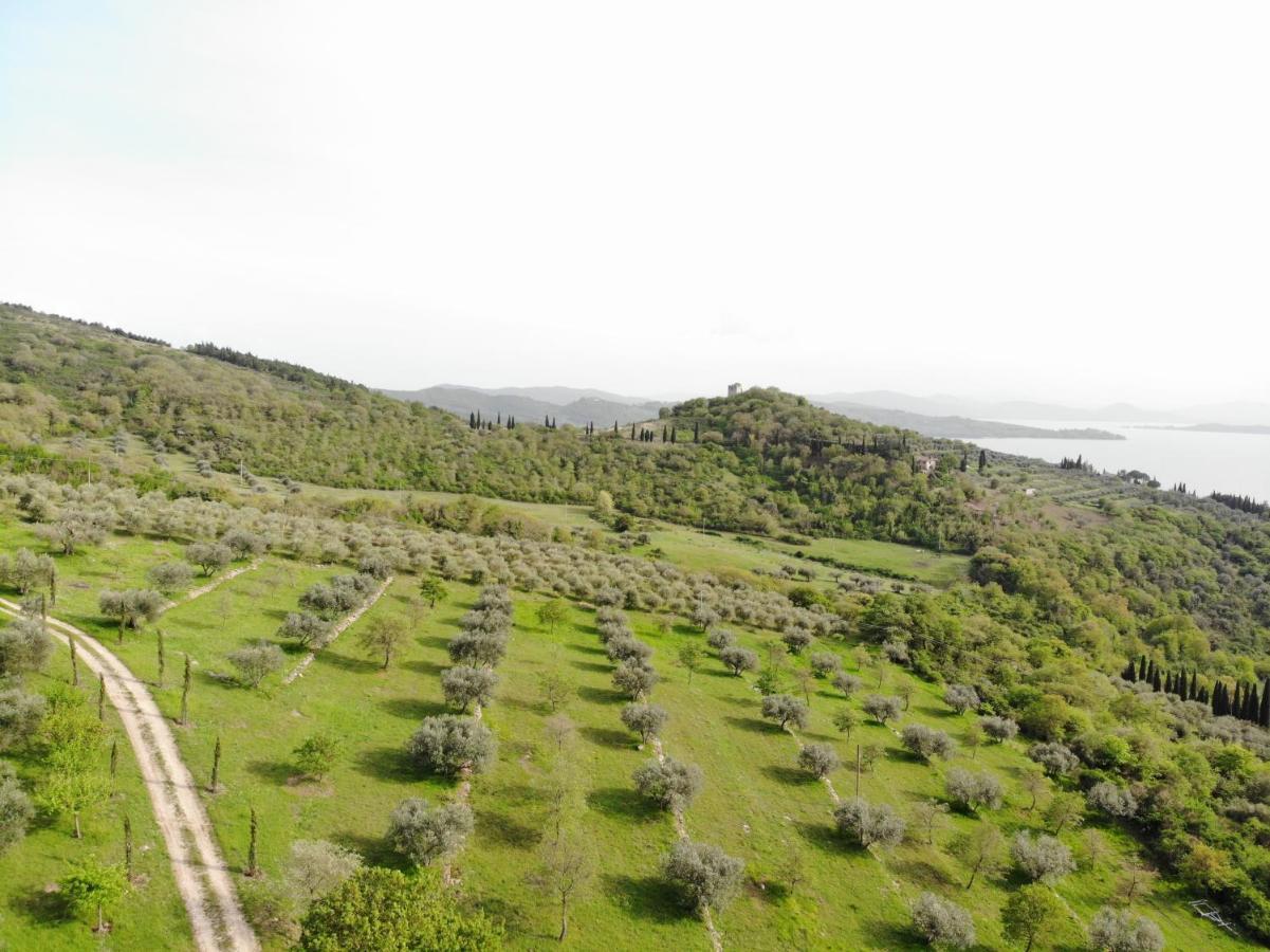 Agriturismo Panorama Sul Lago Пасиняно сул Тразимено Екстериор снимка